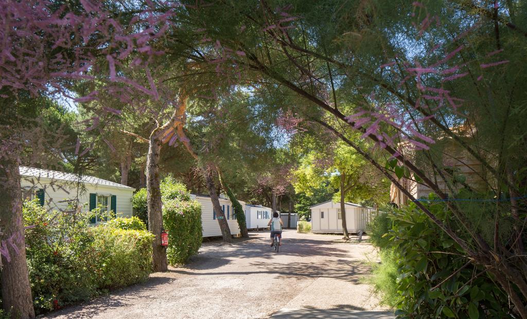Camping Le Suroit Le Bois-Plage-en-Ré Buitenkant foto